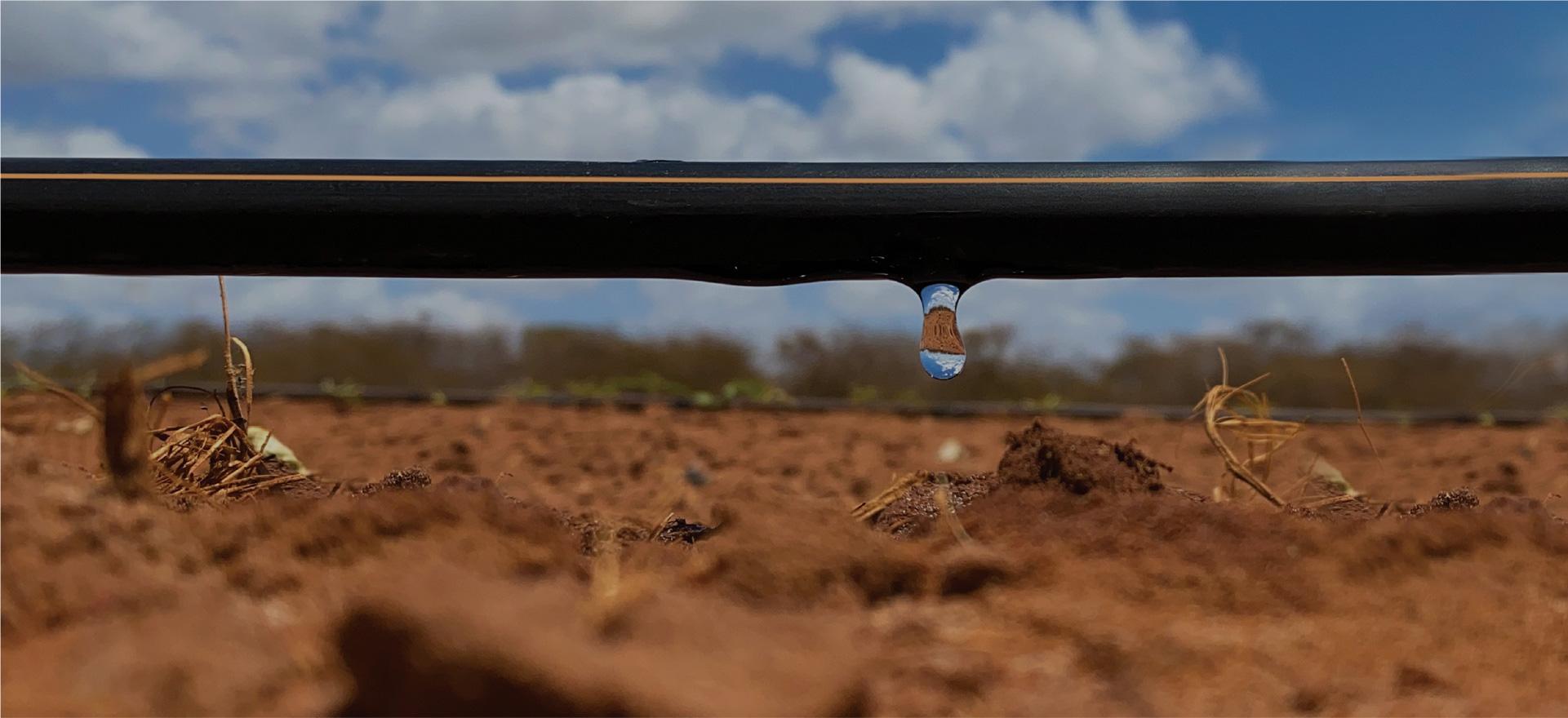 Banner topo Hidrofert